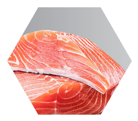 close up of two raw filets of salmon on gray background