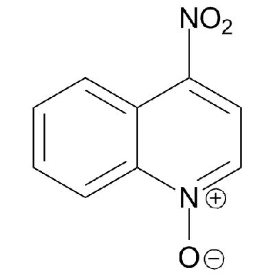 4-Nitroquinoline-1-oxide