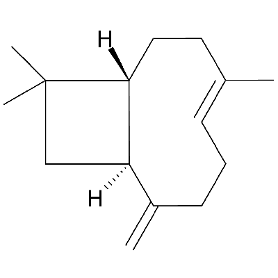 (-)-trans-Caryophyllene Standard
