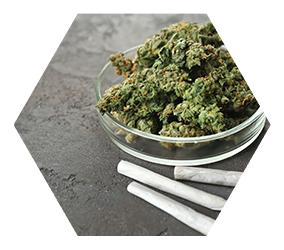 heap of cannabis buds in petri dish with cigarettes on grey background