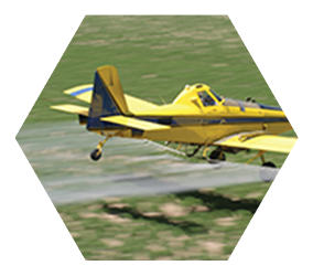 plane flying low over field crop dusting with pesticides