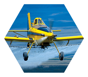 yellow crop duster airplane with blue sky background spraying pesticides