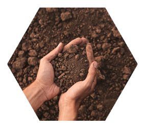 farmer holding soil in hands close up